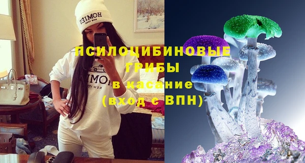 PSILOCYBIN Снежинск