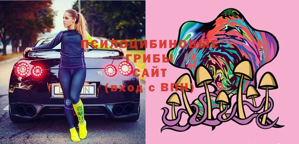 PSILOCYBIN Снежинск