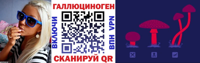 наркошоп  Соль-Илецк  Псилоцибиновые грибы Cubensis 
