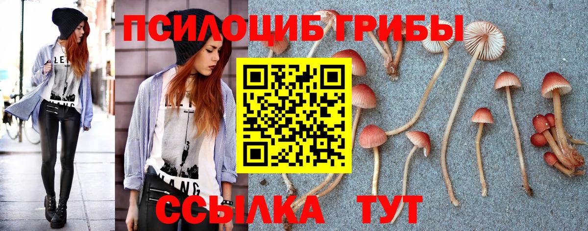 Марихуана  Вход с VPN  Мефедрон кристаллы  Экстази  Соль-Илецк  ГАШИШ  Cocaine  АМФЕТАМИН   НБОМе 
