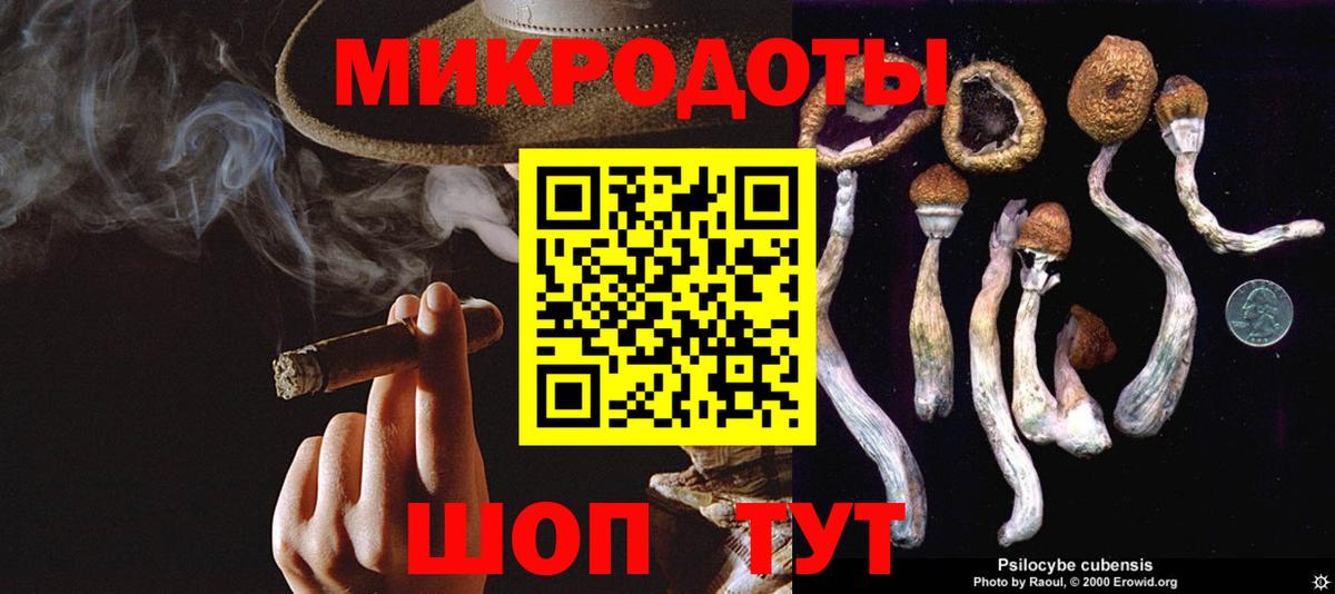 Галлюциногенные грибы MAGIC MUSHROOMS Соль-Илецк