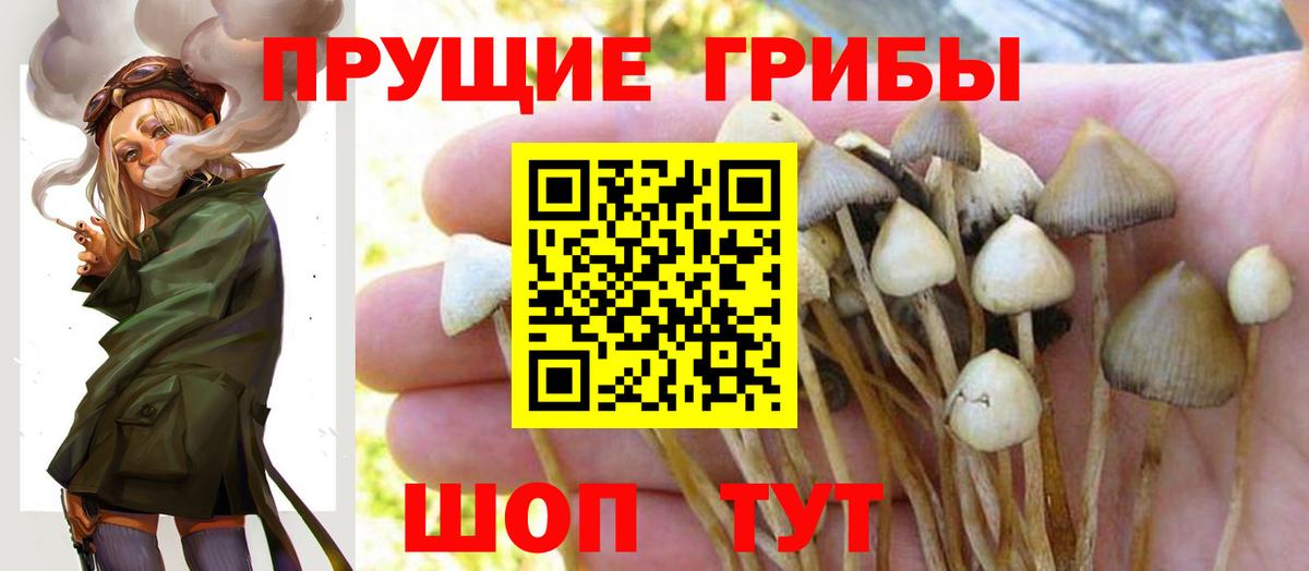 Галлюциногенные грибы мухоморы  Вход с VPN  Псилоцибиновые грибы мухоморы  Соль-Илецк 